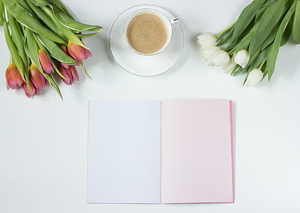white ceramic coffee cup and saucer on white surface thumbnail