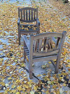 Leaves, Autumn thumbnail