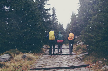 three people walking on gray stairs between forest thumbnail