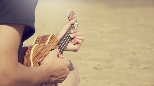 people, guy, guitar, music, musical, instrument thumbnail