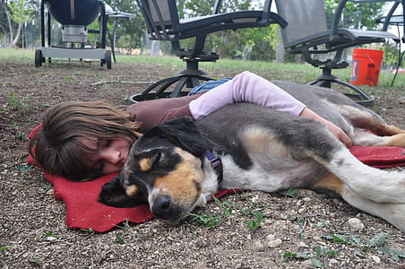 girl lying beside adult black and tan short coated dog thumbnail