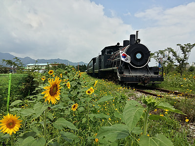 Republic Of Korea, Steam Locomotive thumbnail