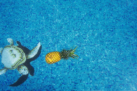 pineapple and sea turtle thumbnail
