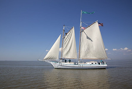 white boat sailing during daytime thumbnail