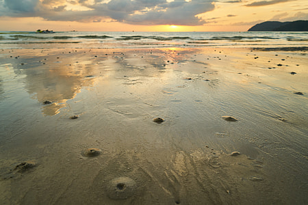seashore during daytime thumbnail