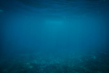 sea, ocean, underwater, water thumbnail