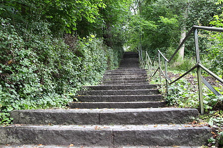 low angle photo of stair thumbnail