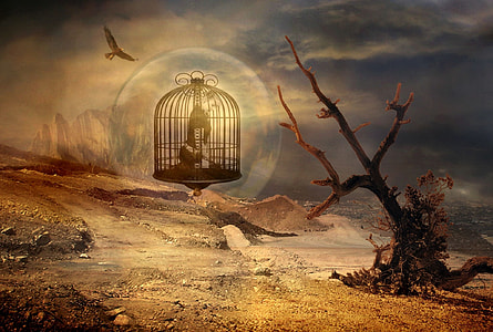 animal inside black wire cage inside bubble beside tree branch thumbnail