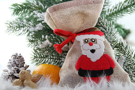 brown and red Santa Claus graphic bag, wbrown nuts, and orange fruit near Christmas tree thumbnail
