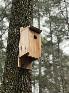 Brown Wooden Birdhouse on Brown Tree Trunk thumbnail