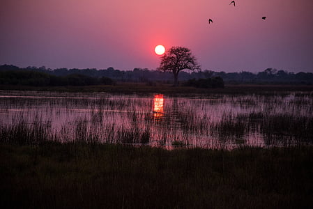landscape photo of sunset view thumbnail