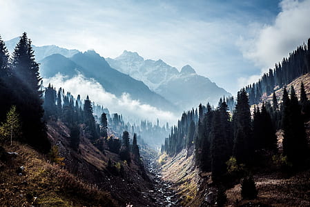 river between mountains with trees at daytime thumbnail