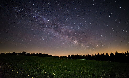 green grass field thumbnail