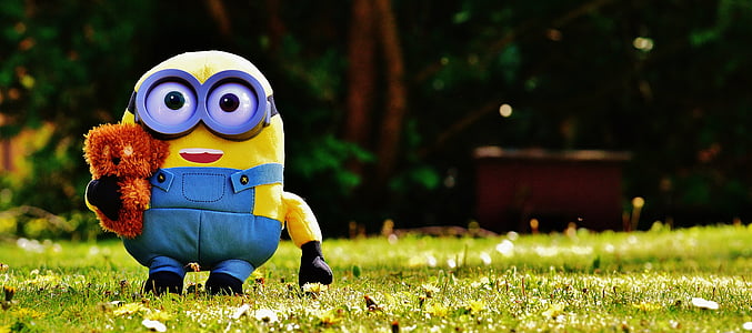 macro photography of minion on grassfield thumbnail