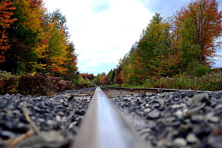 rocks, trees, autumn, fall thumbnail