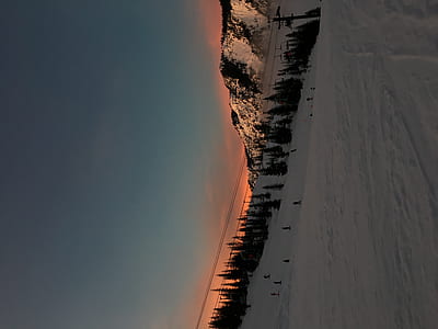 trees in snowfield at daytime thumbnail