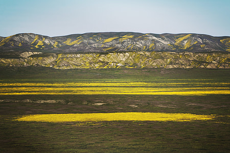green grass-covered hill under blue skies thumbnail