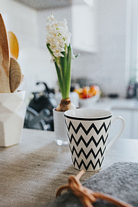 Home decor with green plants thumbnail