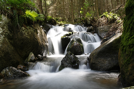 waterfall surrounded by trees thumbnail