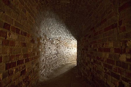 brown wall bricks thumbnail