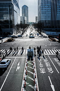 people walking on pedestrian lane thumbnail