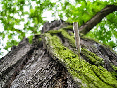 pin on bark thumbnail