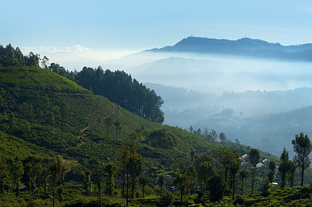 trees and mountain during daytime thumbnail