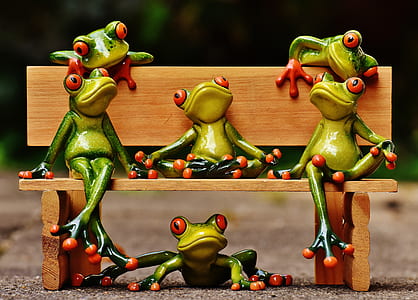 five green frogs on bench thumbnail