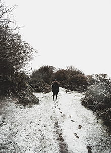 person walking on snow covered path under white sky at daytime thumbnail