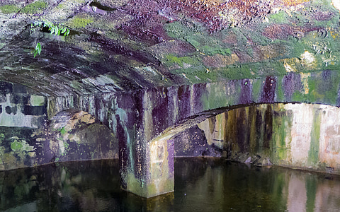 body of water under purple and green structure thumbnail