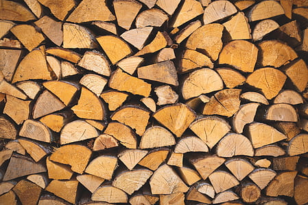 wood lot thumbnail