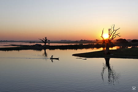 tree surround by body of water thumbnail