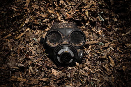 black gas mask on brown dried leaves thumbnail