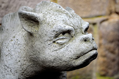 close-up of gray animal statue thumbnail