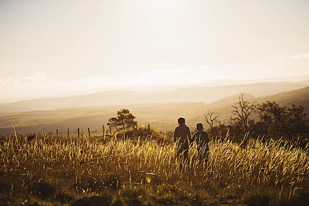 dawn, landscape, sunset, hands thumbnail