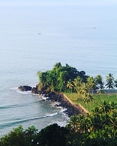 high angle photo of palm trees near sea thumbnail