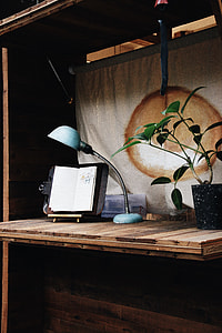 opened book under blue gooseneck lamp thumbnail