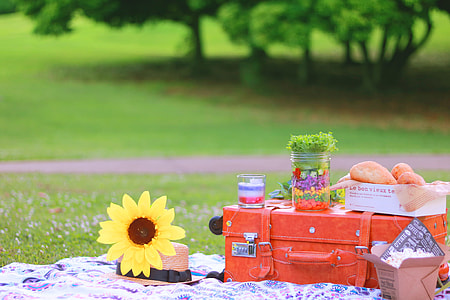 picnic at park during daytime thumbnail