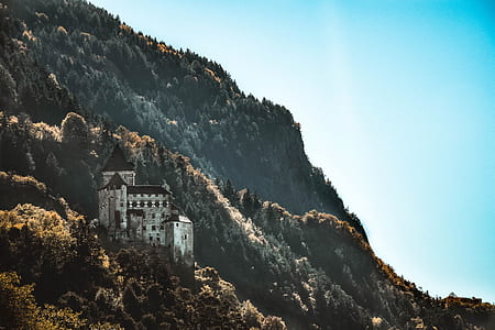 gray concrete castle on hill thumbnail