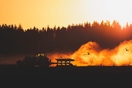 silhouette of tractor near trees thumbnail