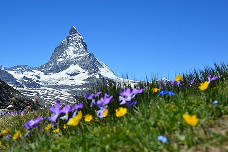 worm eye photography of mountain with snow thumbnail