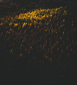 aerial view photography of grass field thumbnail