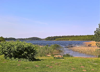lake surrounded by trees thumbnail