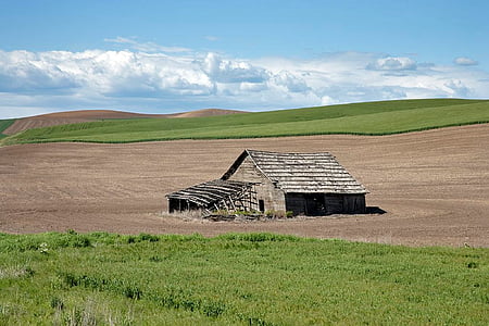 brown wooden barn surrounded with green grass field at daytime thumbnail