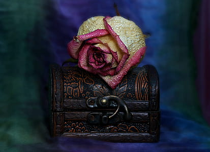 brown and pink rose on wooden chest thumbnail