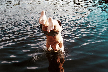man diving on rippling body of water at daytime thumbnail