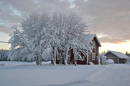 snow covered field during cloudy day thumbnail