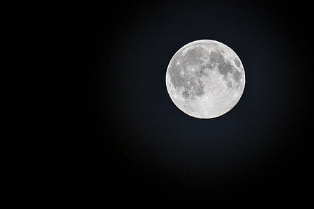 macro photography of full moon thumbnail