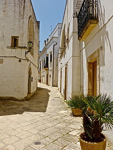 empty narrow pathway beside buildings at daytime thumbnail