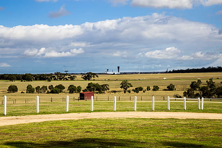 green grass field under cloudy sky thumbnail
